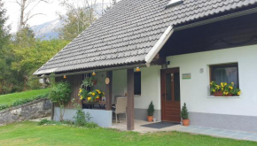 Apartment Sonce Bohinjska Bistrica